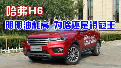 h6油耗多少真实油耗,2023h6油耗多少真实油耗