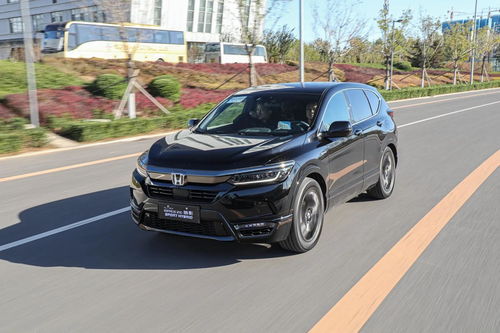 皓影本田suv,皓影本田suv蓝色