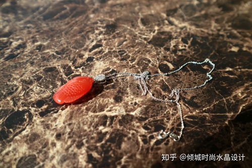 海马价格多少钱一克,海马多少钱一克