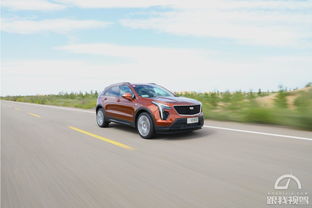 30万预算买什么suv,30万预算买什么二手车