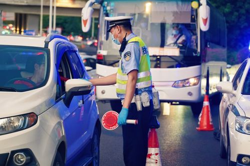广州交通网违章查询,广州交通网违章查询系统