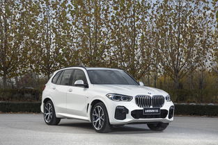 新bmwx5,新BM52月8日