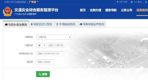 交通违章查询及处理,交通违章查询处理app