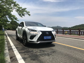 雷克萨斯nx300价格,雷克萨斯rx300价格2023款