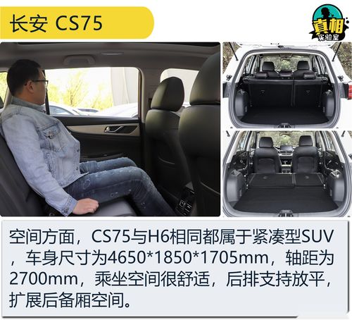 2022汽车销量排名,2820汽车销量排行榜
