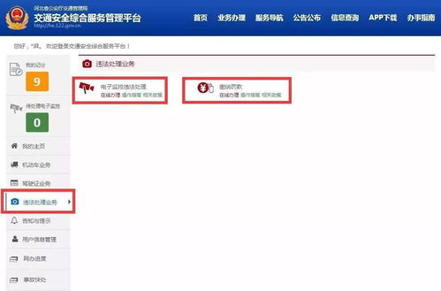 河北省车辆违章查询平台,河北省汽车违章查询手机版