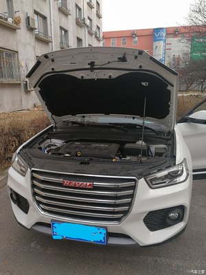 哈弗柴油版有哪几款,哈弗哪款是柴油版
