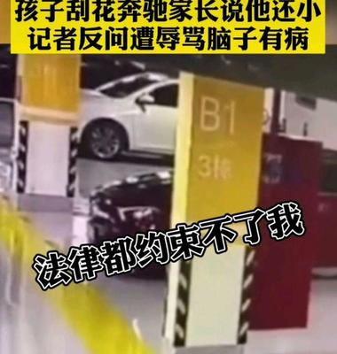 女士20万左右奔驰车,奔驰女士款20万左右轿车