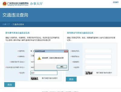 交通违法违章查询,交通违法查询交通违章