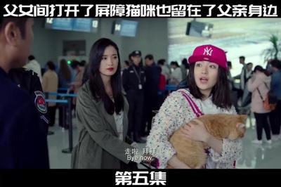 12121违章查询,12121违章查询下载安装