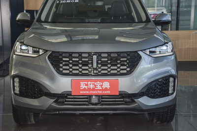 wey价格及图片,wey车型价格