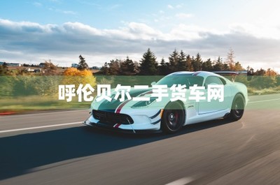 百姓二手货车网,百姓二手货车网站