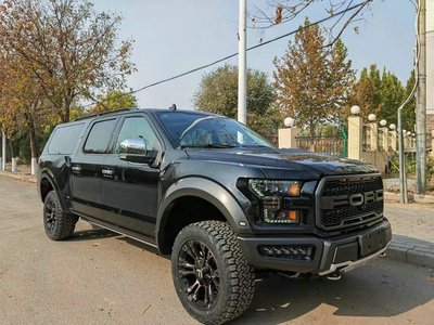 福特f150勇猛者_福特f150勇猛者油耗多少