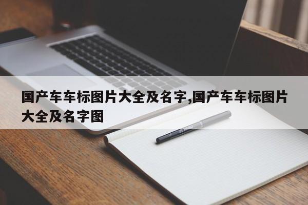 国产车车标图片大全及名字,国产车车标图片大全及名字图