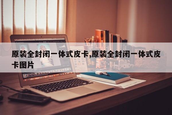 原装全封闭一体式皮卡,原装全封闭一体式皮卡图片