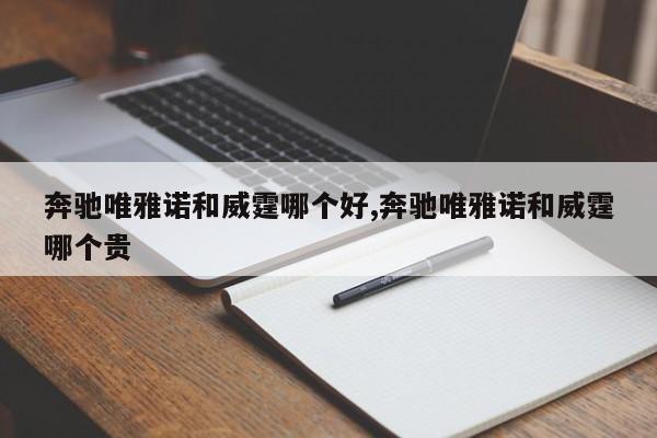 奔驰唯雅诺和威霆哪个好,奔驰唯雅诺和威霆哪个贵
