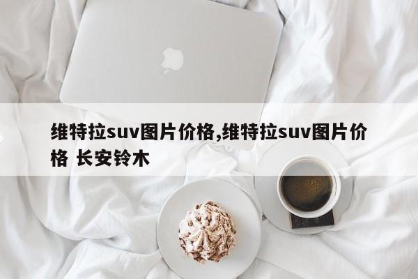 维特拉suv图片价格,维特拉suv图片价格 长安铃木