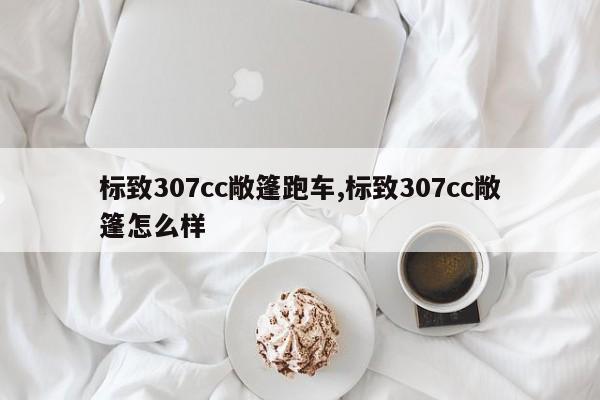 标致307cc敞篷跑车,标致307cc敞篷怎么样