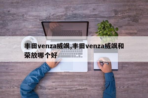 丰田venza威飒,丰田venza威飒和荣放哪个好