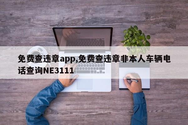 免费查违章app,免费查违章非本人车辆电话查询NE3111