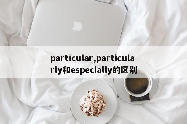 particular,particularly和especially的区别