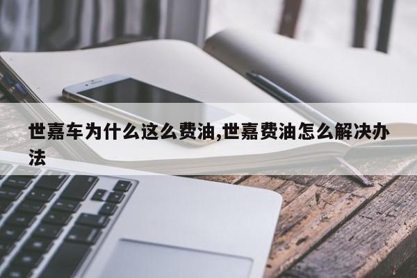 世嘉车为什么这么费油,世嘉费油怎么解决办法