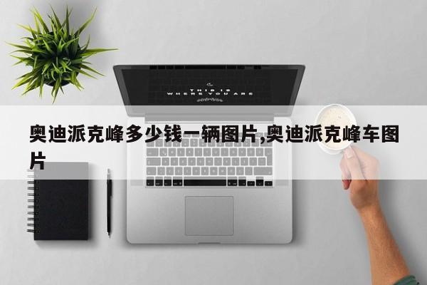 奥迪派克峰多少钱一辆图片,奥迪派克峰车图片