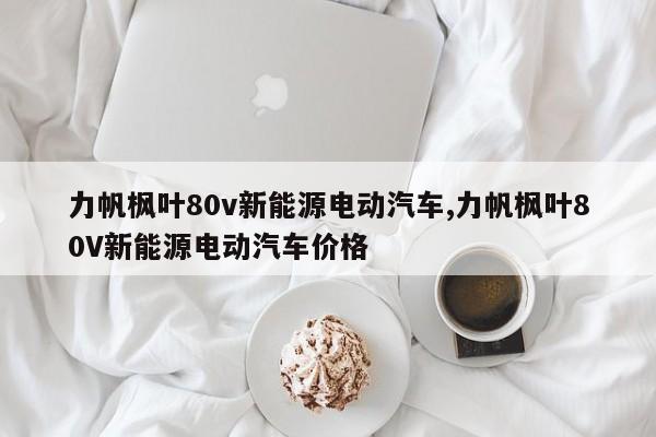 力帆枫叶80v新能源电动汽车,力帆枫叶80V新能源电动汽车价格