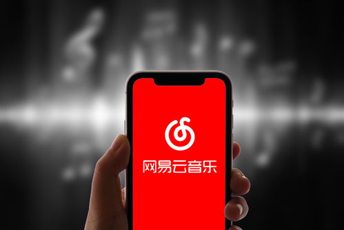 万物云(02602)12月13日斥资约501.55万港元回购20万股