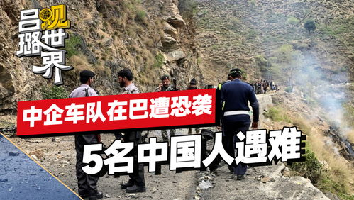 巴总理对中企车队遇袭事件强烈谴责，深化合作背景下的安全挑战与应对