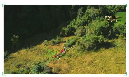 女博主独闯哀牢山深处，两天后报平安，一次勇敢的自然探索之旅