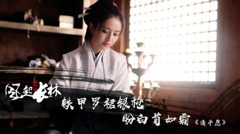 少帅不敢爱
