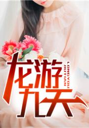 神医赘婿，医术与智慧的完美结合