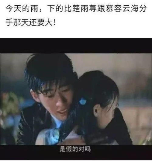 狂撩千亿总裁爆捶渣男（81集）