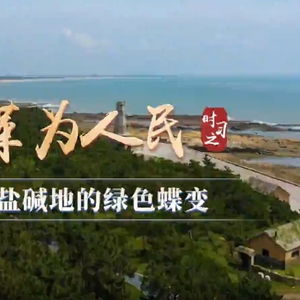 一片盐碱地的绿色蝶变