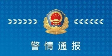 重庆警方通报醉酒女殴打外卖员事件，深度剖析与反思