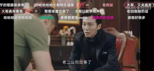 一不小心捡到爱（85集连续剧剧情概述）