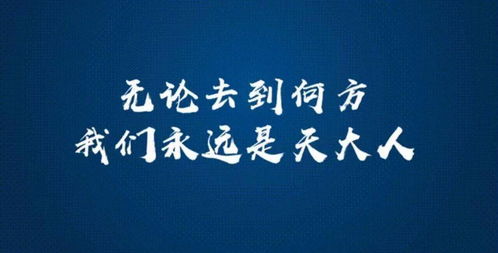 真千金横扫职场，无畏前行，绽放光芒
