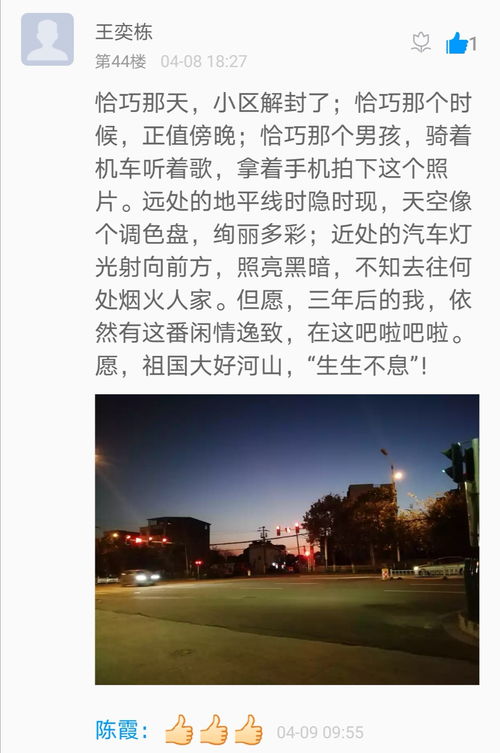 全集的魅力与价值，探索、发现与欣赏