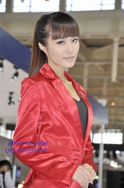 高手下山之美女如云