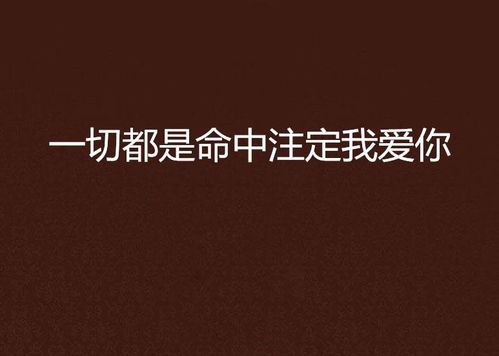 命中注定，我爱你（95集）深度解析与感悟
