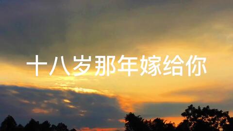 情深不浅，一段跨越时空的情感旅程（109集）