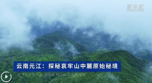 哀牢山，现实版云南虫谷的秘境探索