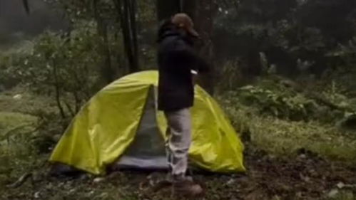 露营哀牢山女博主道歉背后的故事与反思