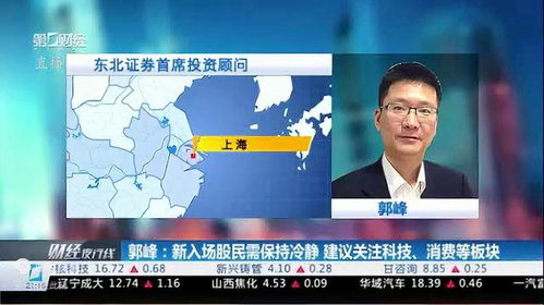 专家提醒，新入场股民需保持冷静