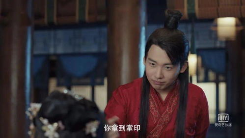 神医赘婿，医术与智慧的完美结合