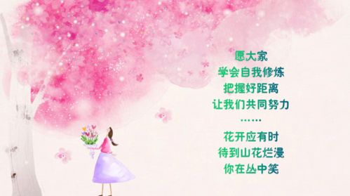 花开盛夏——时光中的64个故事