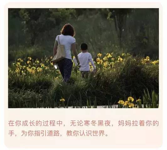 妈妈你在哪，我呼唤你的温暖怀抱