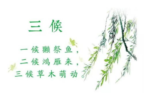 母爱无声，润物细无声的伟大力量