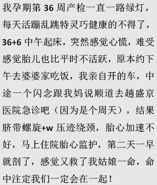 心肝宠（98集），情感的真挚与生活的琐碎交织